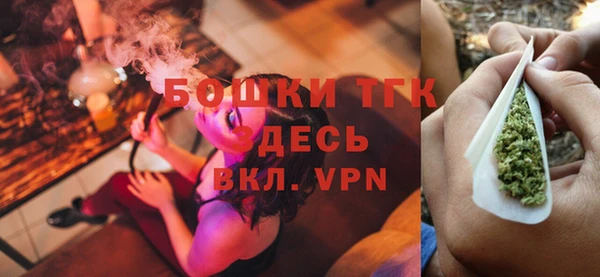 дурь Пересвет