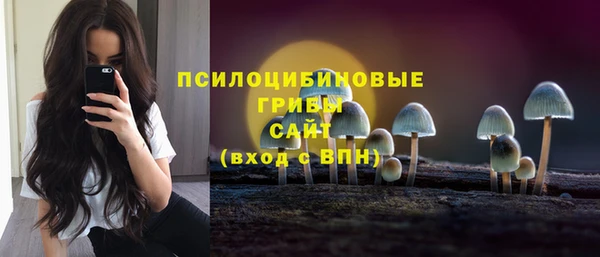 первитин Осташков