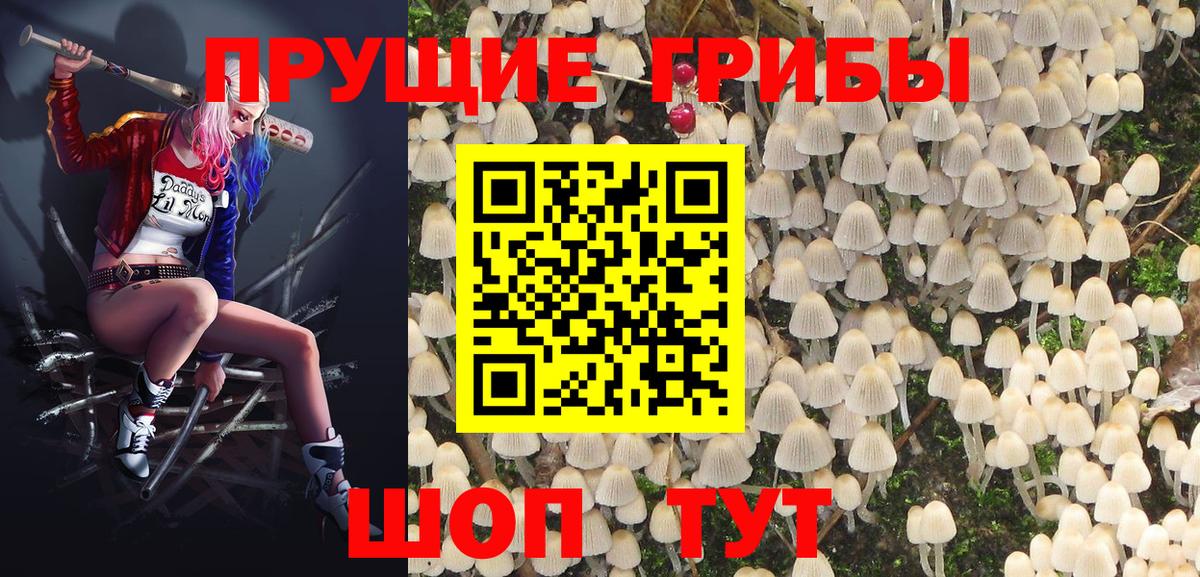 Псилоцибиновые грибы Psilocybe Люберцы
