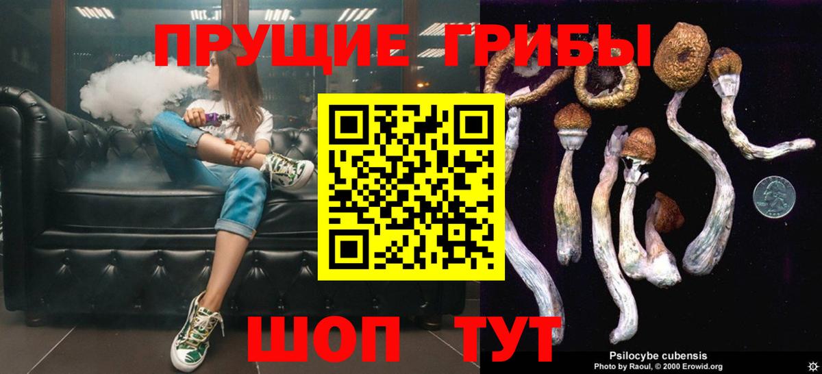 Псилоцибиновые грибы Magic Shrooms  Люберцы 