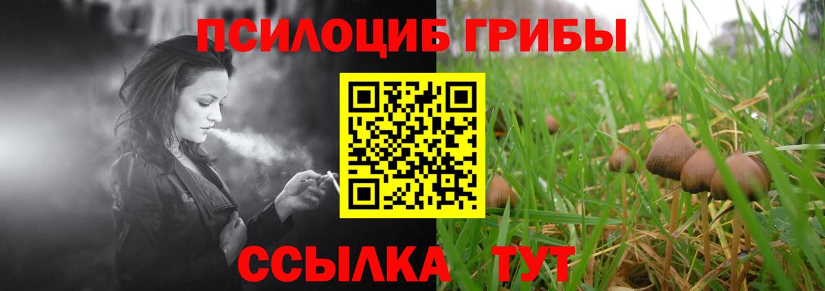 Галлюциногенные грибы MAGIC MUSHROOMS Люберцы