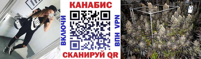 Бошки марихуана THC 21%  Люберцы 