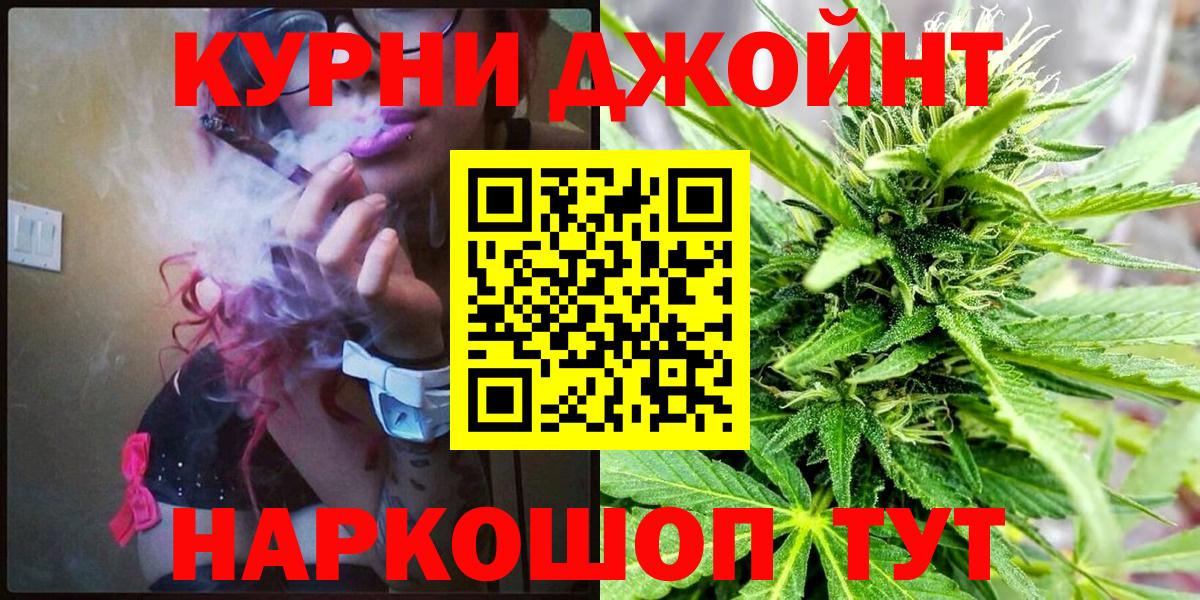 Бошки Шишки план Люберцы